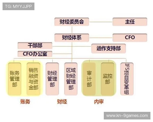 网易游戏充值最多的会员类型揭秘与福利分析